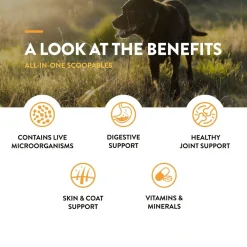 Online Scoopables All-In-One 4-in-1 Support Dog Supplement Supplies Leashes, Collars, Beds, Flea & Tick, Etc.