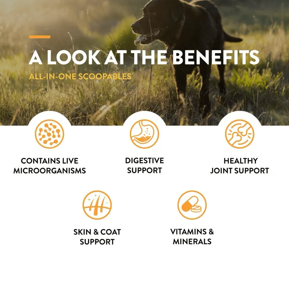Online Scoopables All-In-One 4-in-1 Support Dog Supplement Supplies Leashes, Collars, Beds, Flea & Tick, Etc.
