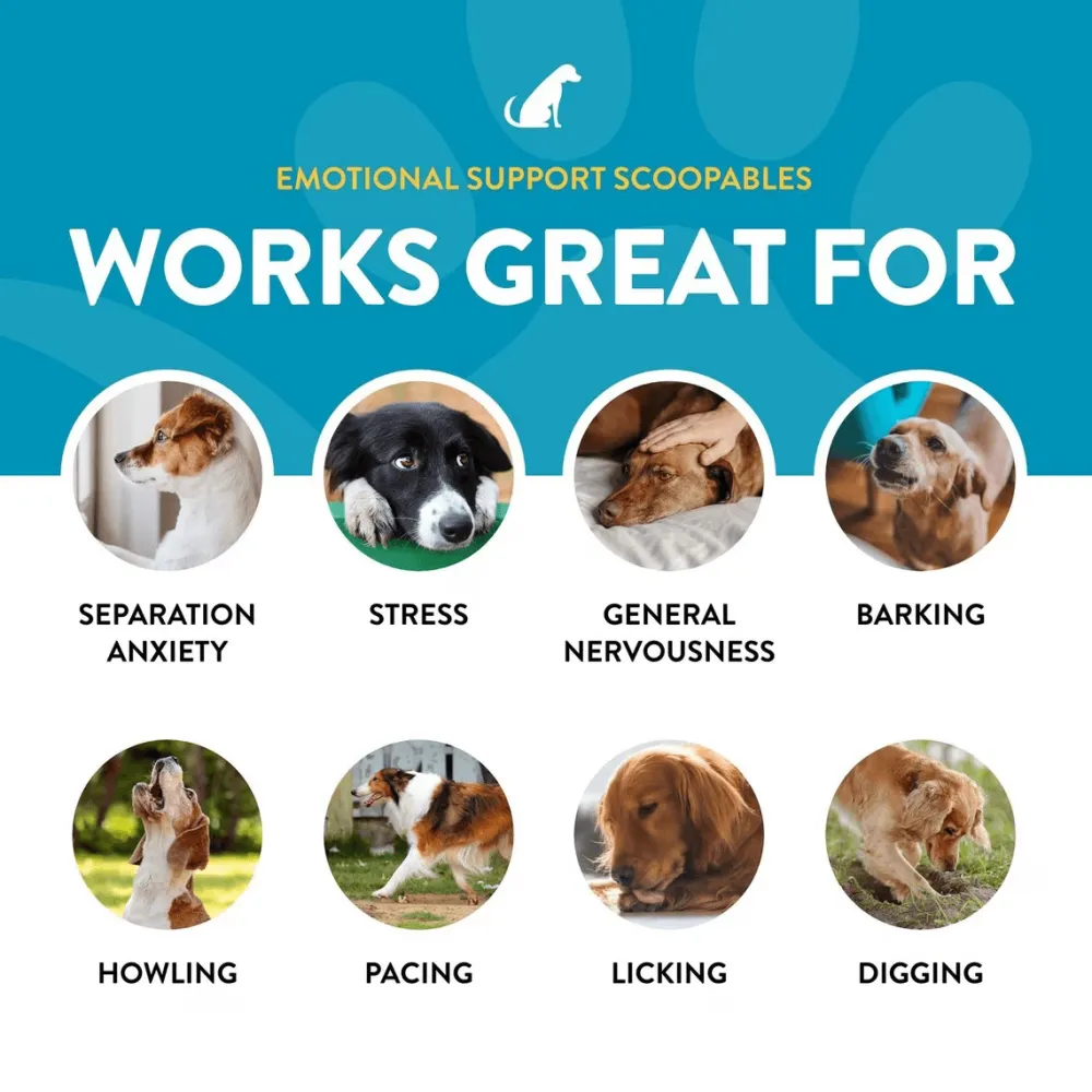 New Scoopables Emotional Support Daily Calming Aid Dog Supplement Supplies Leashes, Collars, Beds, Flea & Tick, Etc.