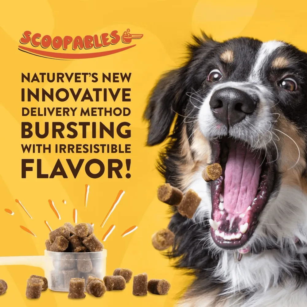 Online Scoopables Quiet Moments Calming Aid Dog Supplement Supplies Leashes, Collars, Beds, Flea & Tick, Etc.