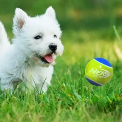 Sale Puppy & Small Dog TPR Ball Dog Toy Supplies Leashes, Collars, Beds, Flea & Tick, Etc. | Toys Interactive, Plush, Etc.