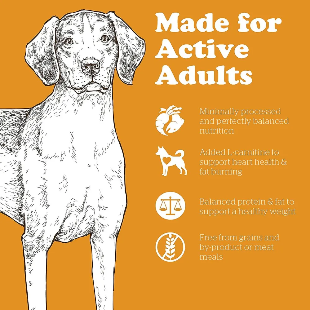 Hot Grain Free Adult Turkey, Salmon, & Duck Recipe for Dogs Food Dry, Wet, Freeze Dried, Etc.