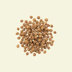 Hot Grain Free Fish Recipe With Trout, Salmon, & Herring for Adult Cats Dry Food Dry Cat Food