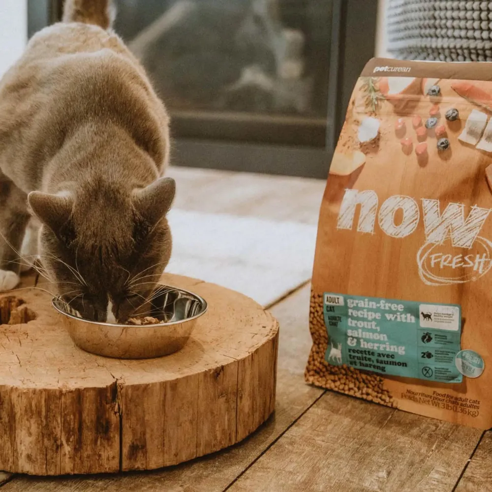 Hot Grain Free Fish Recipe With Trout, Salmon, & Herring for Adult Cats Dry Food Dry Cat Food
