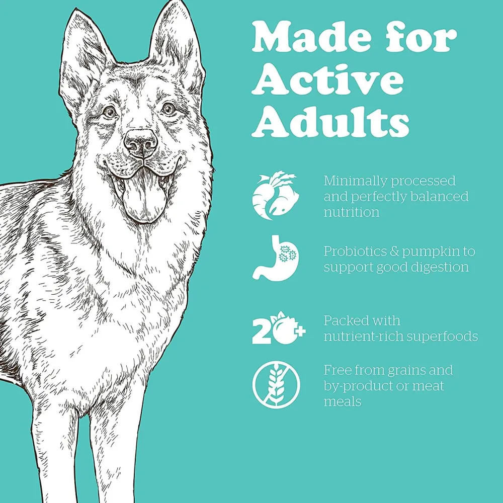 Fashion Grain Free Large Breed Adult Turkey, Salmon, Duck Recipe for dogs Food Dry, Wet, Freeze Dried, Etc.