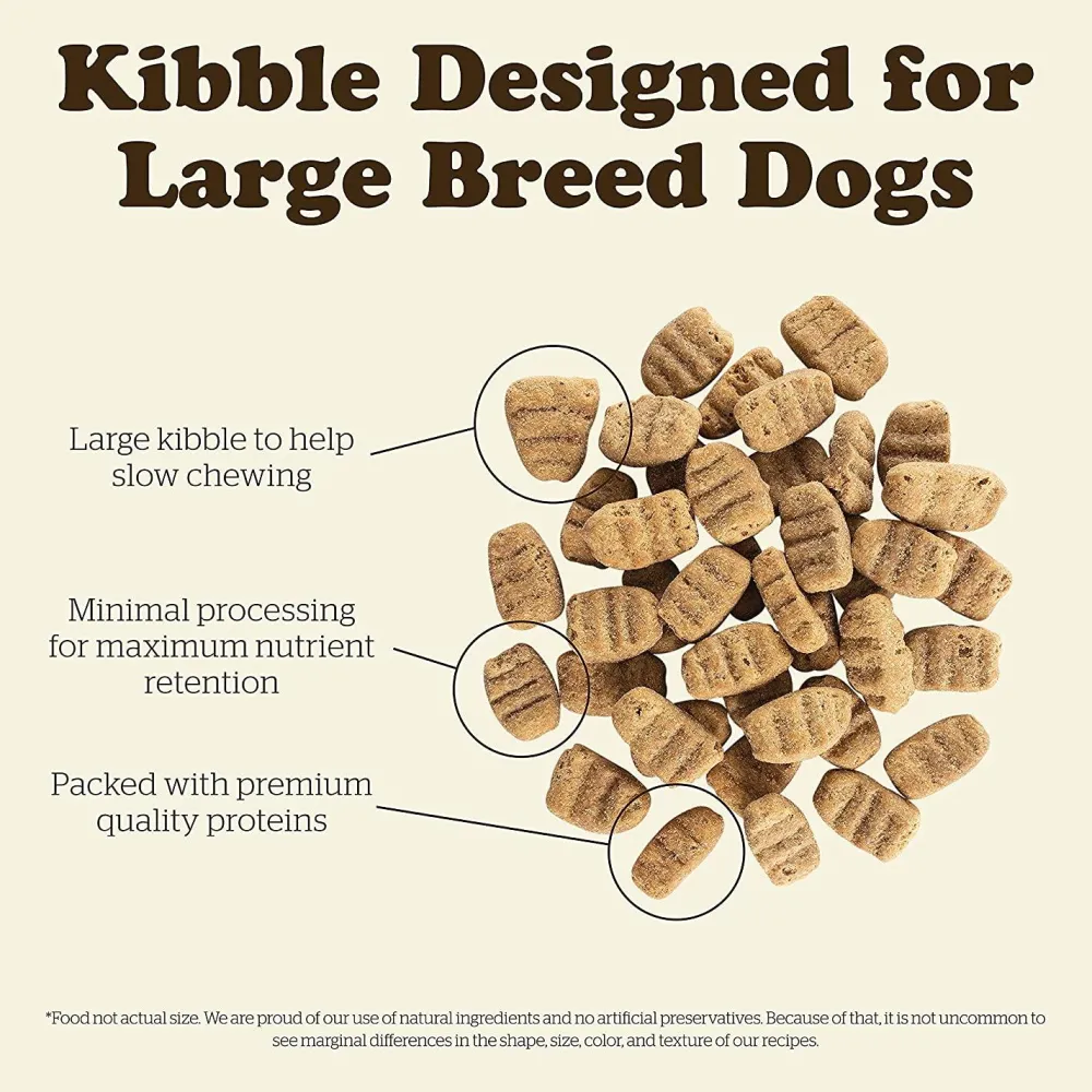 Fashion Grain Free Large Breed Adult Turkey, Salmon, Duck Recipe for dogs Food Dry, Wet, Freeze Dried, Etc.