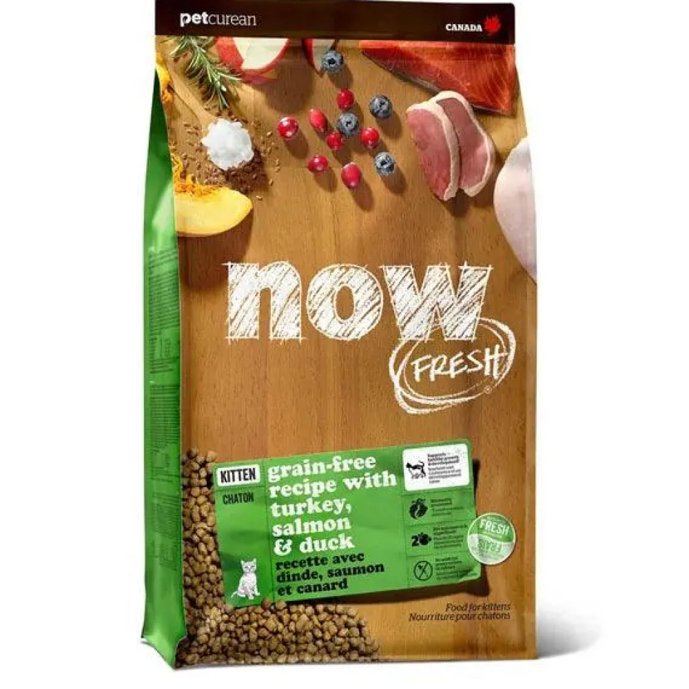 Outlet Grain Free Recipe For Kittens With Turkey, Salmon, and Duck Dry Food Dry Cat Food