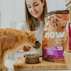 Outlet Grain Free Recipe With Turkey, Salmon, Duck for Adult Cats Dry Food Dry Cat Food