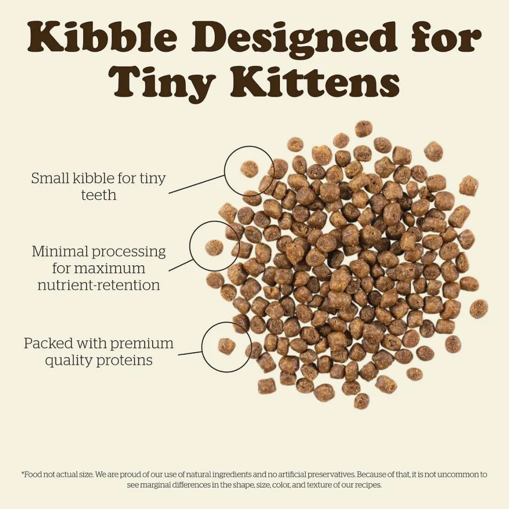 Outlet Grain Free Recipe For Kittens With Turkey, Salmon, and Duck Dry Food Dry Cat Food