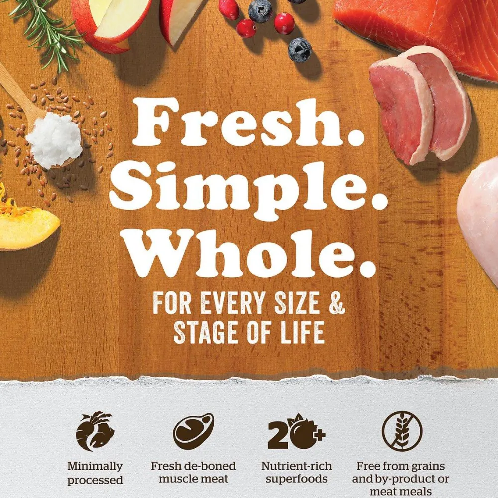 Outlet Grain Free Recipe For Kittens With Turkey, Salmon, and Duck Dry Food Dry Cat Food