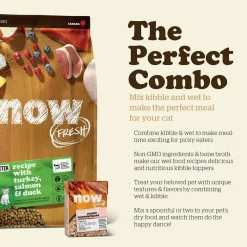 Outlet Grain Free Recipe For Kittens With Turkey, Salmon, and Duck Dry Food Dry Cat Food