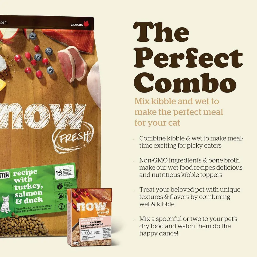 Outlet Grain Free Recipe For Kittens With Turkey, Salmon, and Duck Dry Food Dry Cat Food