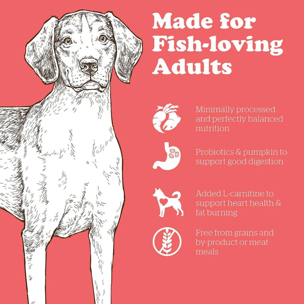 Discount Grain-Free Adult Fish Recipe Dry Dog Food Food Dry, Wet, Freeze Dried, Etc.
