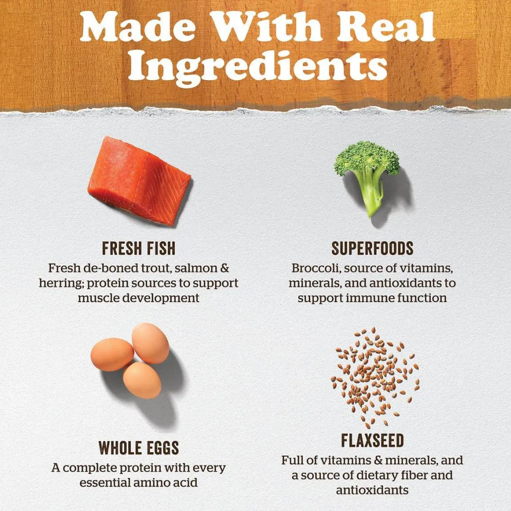 Discount Grain-Free Adult Fish Recipe Dry Dog Food Food Dry, Wet, Freeze Dried, Etc.