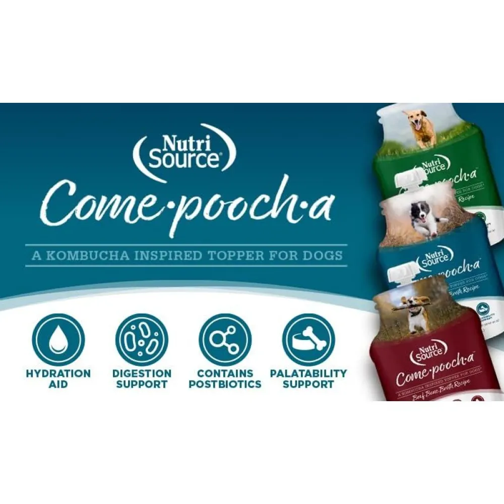 Hot Come Pooch A Chicken Broth Supplies Leashes, Collars, Beds, Flea & Tick, Etc.