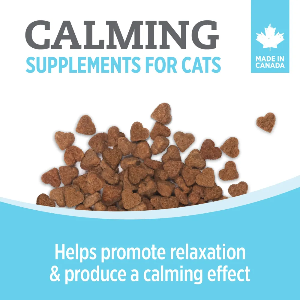 Sale Care Calming Supplement for Cats Supplies Collars, Scratchers, Toys, Etc.