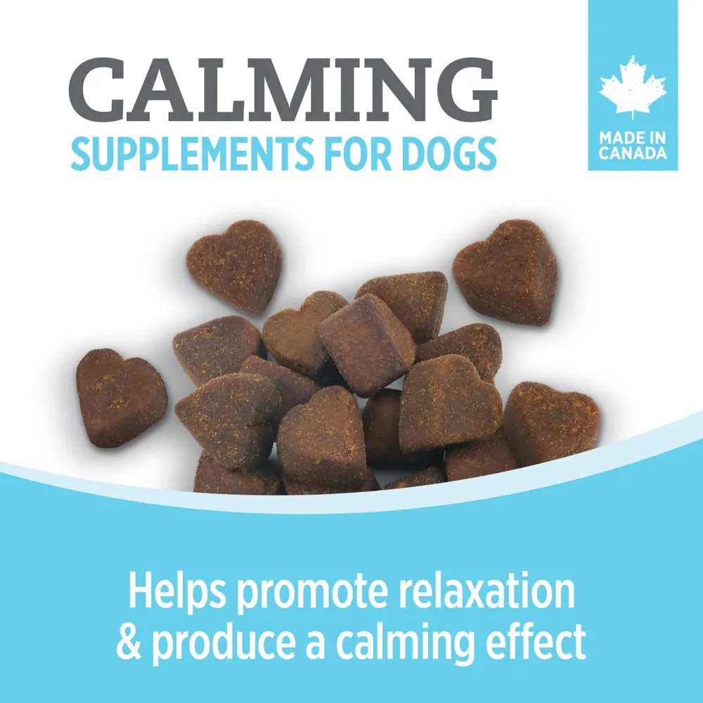 Fashion Care Calming Supplement for Dogs Supplies Leashes, Collars, Beds, Flea & Tick, Etc.
