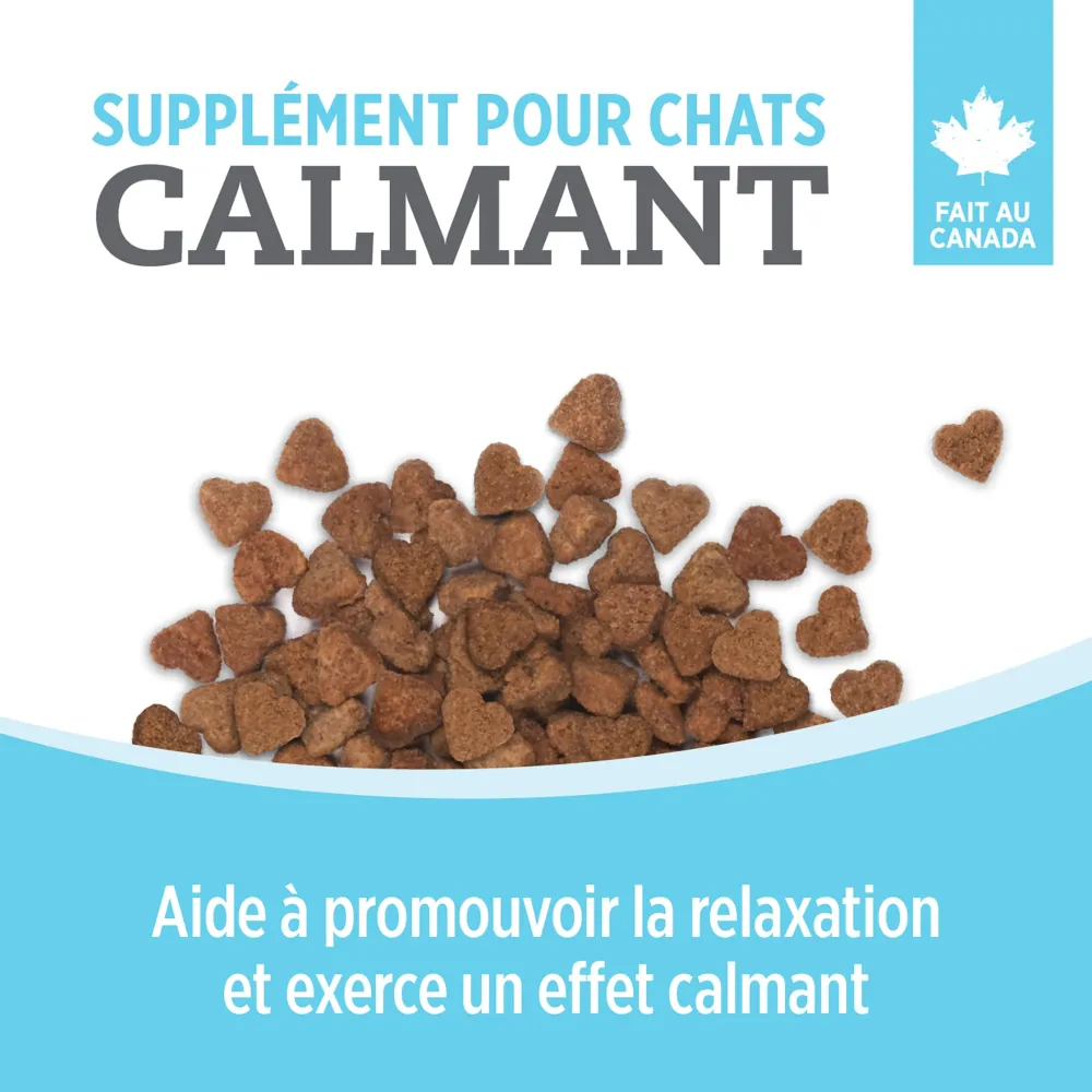 Sale Care Calming Supplement for Cats Supplies Collars, Scratchers, Toys, Etc.