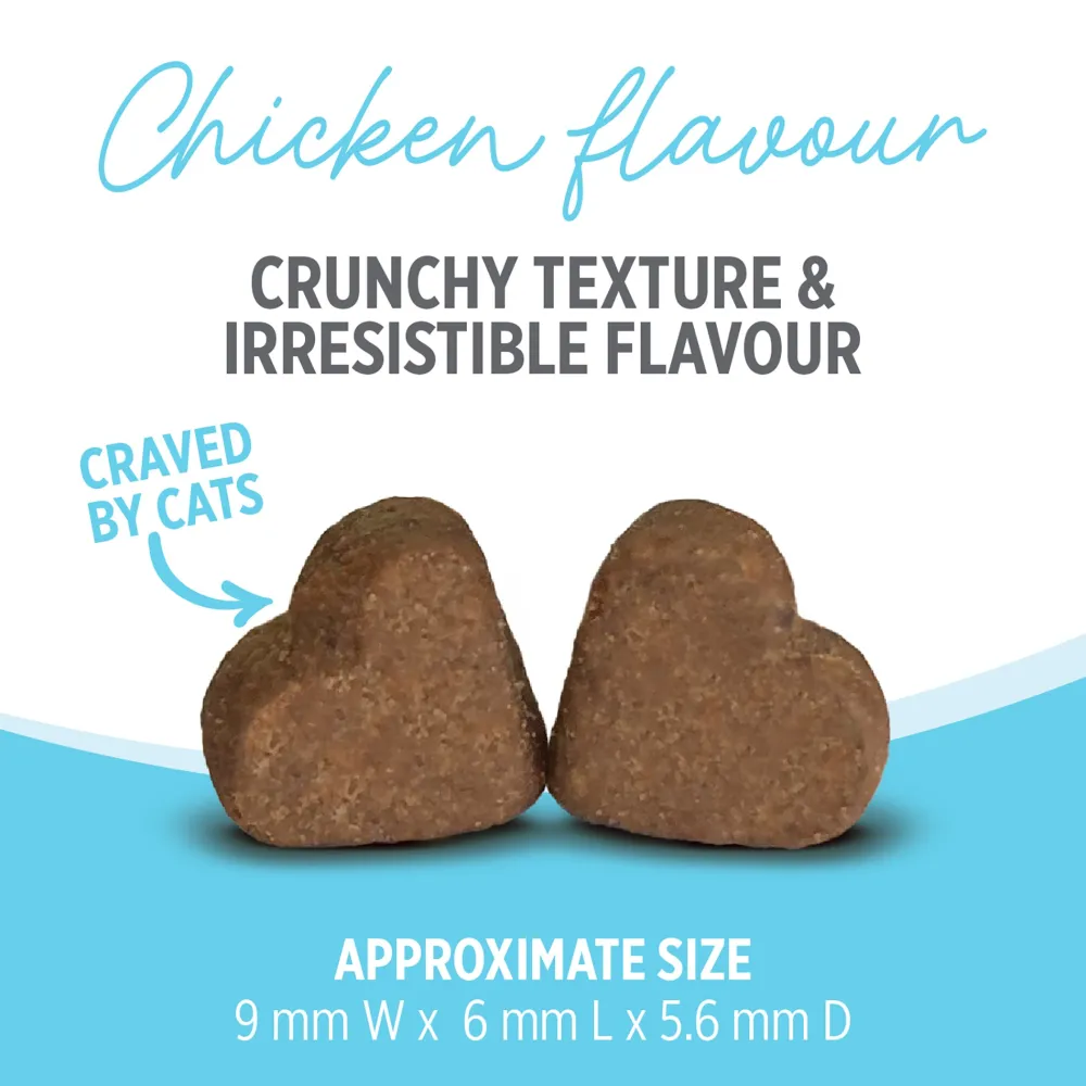 Sale Care Calming Supplement for Cats Supplies Collars, Scratchers, Toys, Etc.