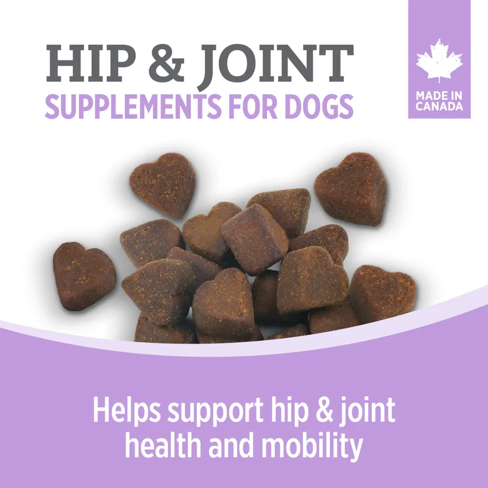 Hot Care Hip & Joint Supplement for Dogs Supplies Leashes, Collars, Beds, Flea & Tick, Etc.