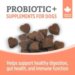 Sale Care Probiotic+ Supplement for Dogs Supplies Leashes, Collars, Beds, Flea & Tick, Etc.