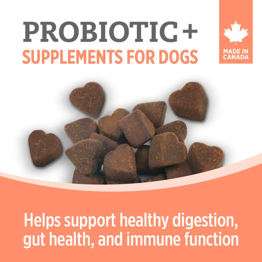 Sale Care Probiotic+ Supplement for Dogs Supplies Leashes, Collars, Beds, Flea & Tick, Etc.