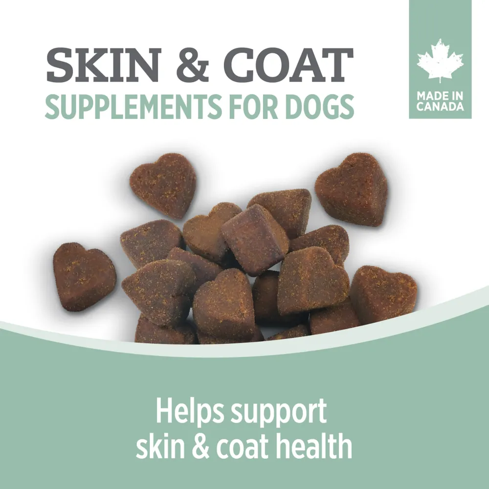 Fashion Care Skin and Coat Supplement for Dogs Supplies Leashes, Collars, Beds, Flea & Tick, Etc.