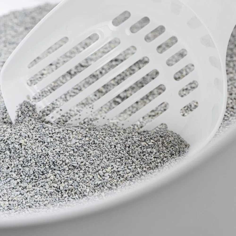 Online Ultra Premium Unscented Multi-Cat Clumping Litter Supplies Collars, Scratchers, Toys, Etc.