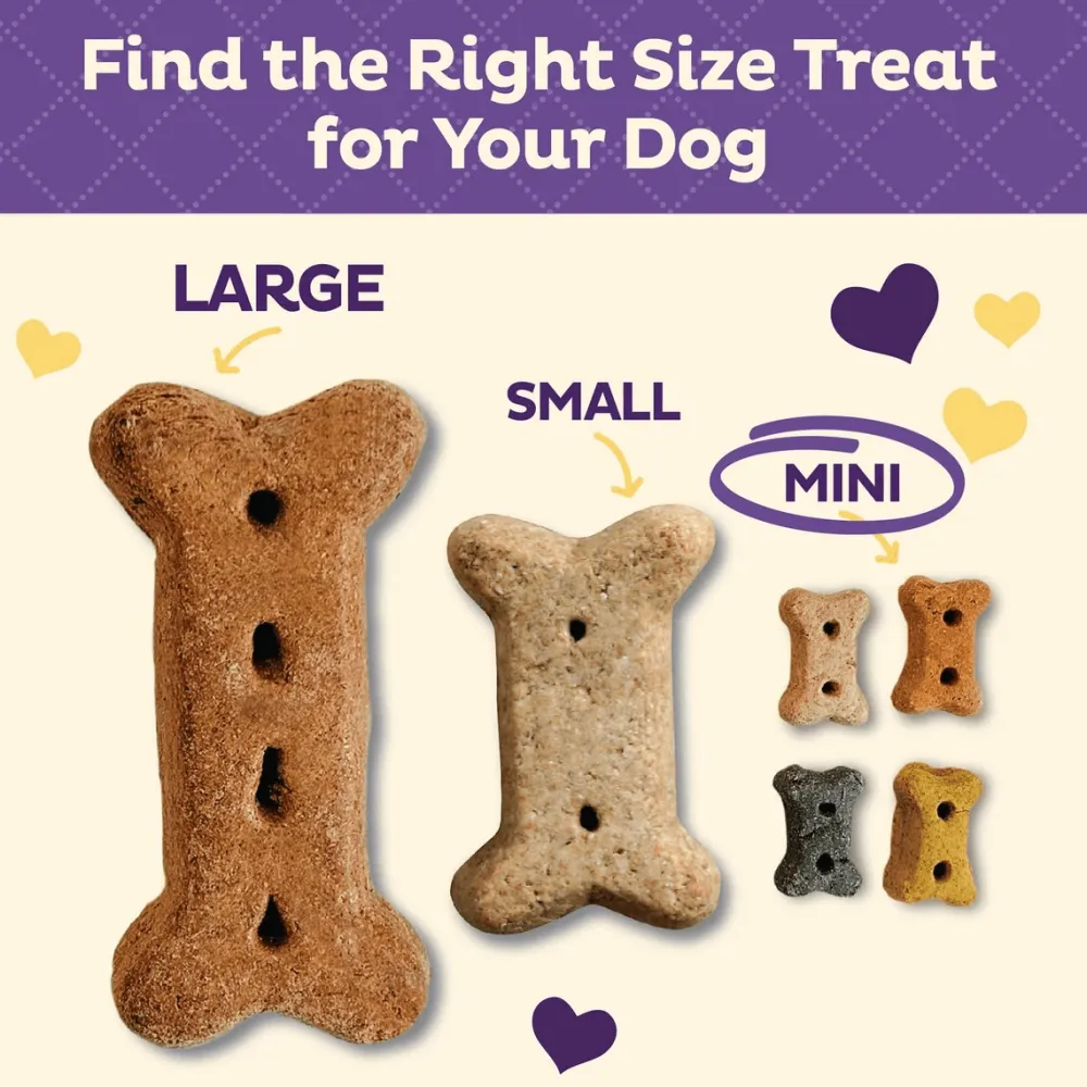 Discount Classic P-Nuttier 'N Nanners Grain Free Mini Oven-Baked Biscuits Dog Treats Treats Treats & Chews