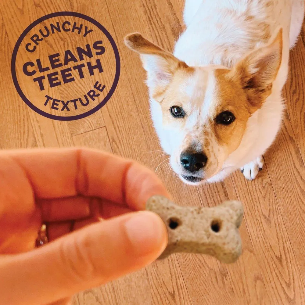 Discount Classic P-Nuttier 'N Nanners Grain Free Mini Oven-Baked Biscuits Dog Treats Treats Treats & Chews