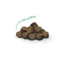 Best Be Good Bites Chicken Dog Treats Treats Treats & Chews