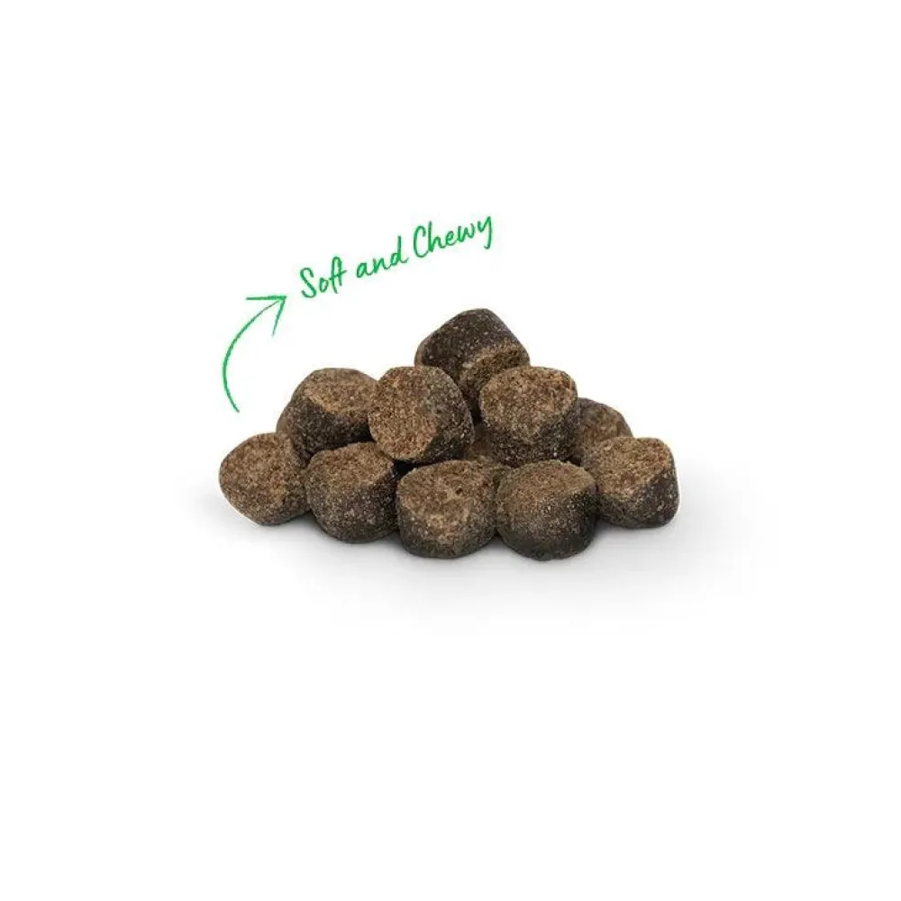 Best Be Good Bites Chicken Dog Treats Treats Treats & Chews