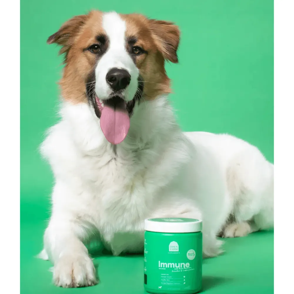 Fashion Dog Supplement Immune Chews Supplies Leashes, Collars, Beds, Flea & Tick, Etc.