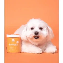 Hot Dog Supplement Probiotic Chews Supplies Leashes, Collars, Beds, Flea & Tick, Etc.
