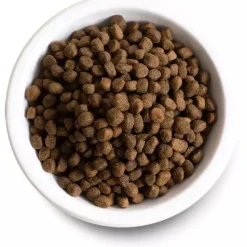 Best Puppy Dry Dog Food Chicken & Salmon Recipe Food Dry, Wet, Freeze Dried, Etc.