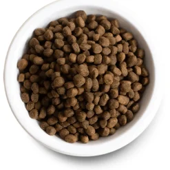 Best Senior Dog Food Recipe Food Dry, Wet, Freeze Dried, Etc.