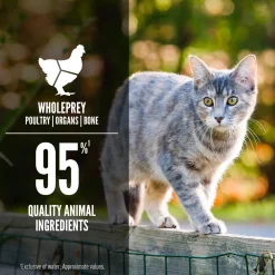 Outlet Duck + Chicken Entrée Wet Cat Food Recipe Wet Food Cans, Pouches, Tetra Paks, Etc.