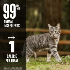 Outlet Freeze-Dried Cat Treats Six Fish Dry Food Dry Cat Food