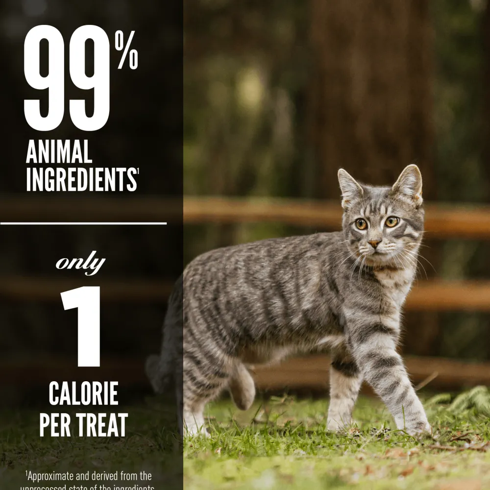 Clearance Freeze-Dried Cat Treats Original Dry Food Dry Cat Food