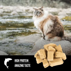 Outlet Freeze-Dried Cat Treats Six Fish Dry Food Dry Cat Food