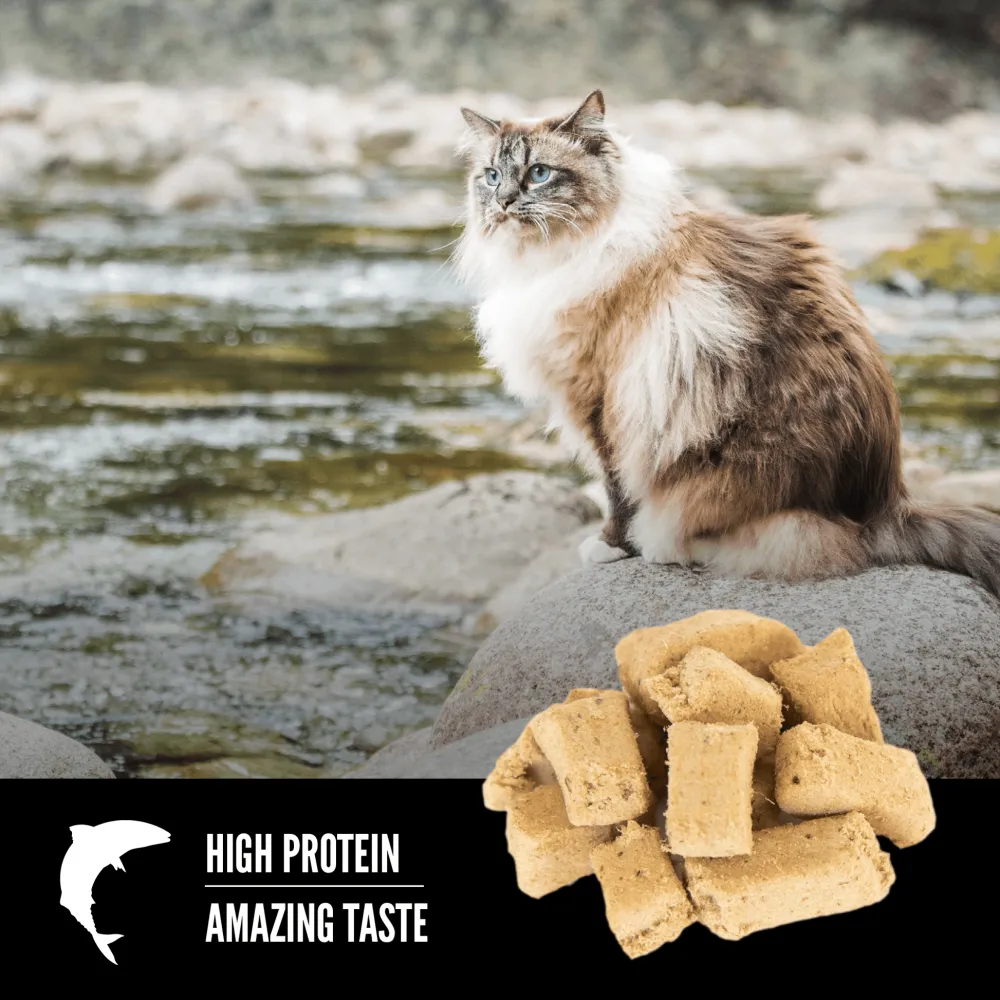 Outlet Freeze-Dried Cat Treats Six Fish Dry Food Dry Cat Food