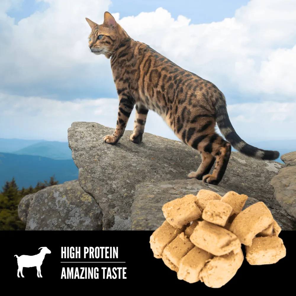 Clearance Freeze-Dried Cat Treats Tundra Dry Food Dry Cat Food