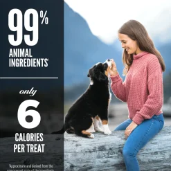 Outlet Freeze-Dried Dog Treats Grass-Fed Lamb Formula Treats Treats & Chews
