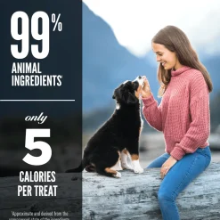 Clearance Freeze-Dried Dog Treats Original Treats Treats & Chews