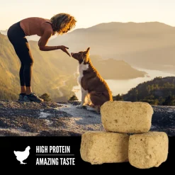 Clearance Freeze-Dried Dog Treats Original Treats Treats & Chews