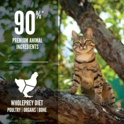 New Guardian 8 Dry Cat Food Recipe Dry Food Dry Cat Food