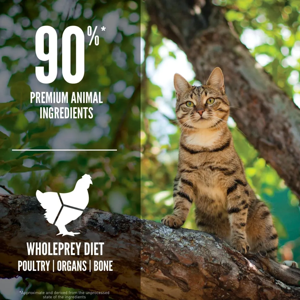 New Guardian 8 Dry Cat Food Recipe Dry Food Dry Cat Food