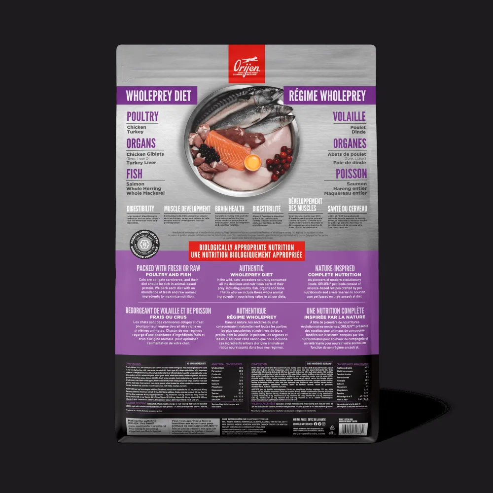 Online Kitten Recipe Dry Food Dry Cat Food