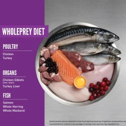 Online Kitten Recipe Dry Food Dry Cat Food