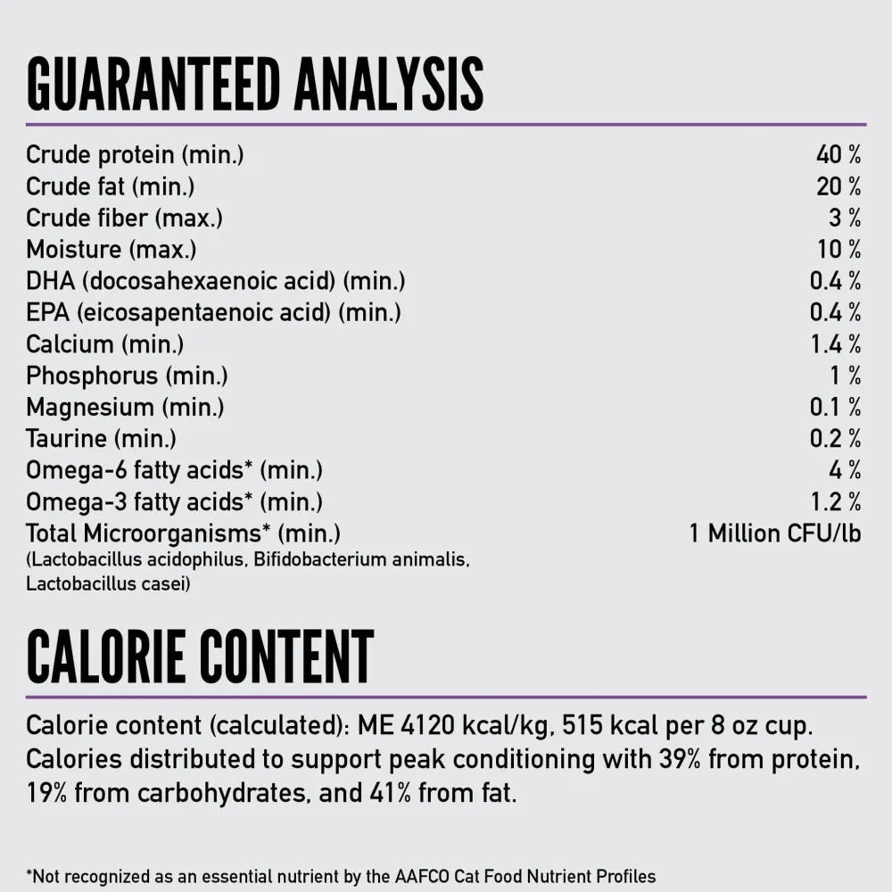 Online Kitten Recipe Dry Food Dry Cat Food